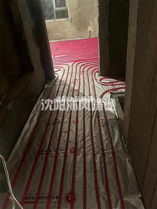 未标题-1.jpg
